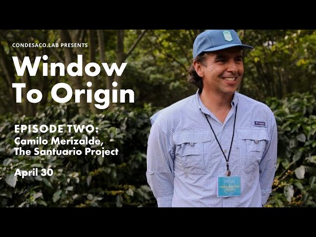 Window to Origin: Episode Two - Camilo Merizalde