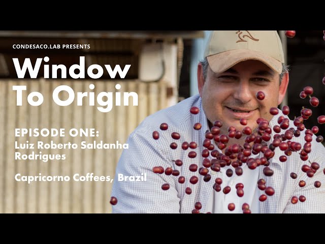 Window to Origin - Episode One: Luiz Roberto Saldahna Rodrigues