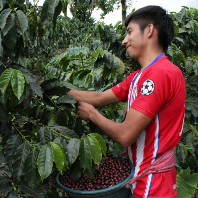 Cari Coffee 3
